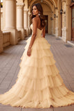 Blush Ball Gown Corset Tulle Ruffled Long Formal  Dress with Lace