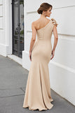 Apricot One Shoulder Mermaid Long Mother of the Bride Dress with Bow