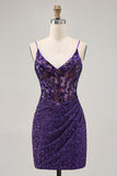 Sparkly Dark Purple Corset Homecoming Dress with Sequins