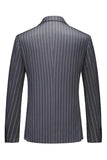Blue Peak Lapel Striped 2-Piece Slim Fit Men's Suits