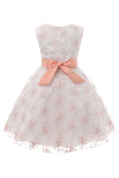 Blue Embroidery Lace Girls' Dress with Bowknot