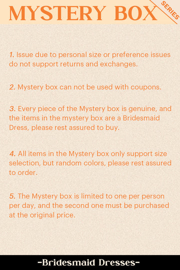 ZAPAKA MYSTERY BOX of 1Pc Bridesmaid Dress