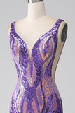 Dark Purple Mermaid V Neck Sequins Long Formal Dress