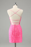 Glitter Hot Pink Bodycon Spaghetti Straps Sequins Cocktail Dress