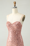 Sparkly Blush Spaghetti Straps Sequins A Line Cocktail Dress