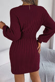 Burgundy V Neck Collared Long Sleeve Knit Sweater Dress