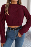 Burgundy Long Sleeves Knit Winter Sweater