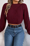 Burgundy Long Sleeves Knit Winter Sweater