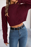 Burgundy Long Sleeves Knit Winter Sweater