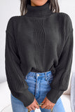 Black High Neck Long Sleeves Knit Sweater Top