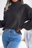 Black High Neck Long Sleeves Knit Sweater Top