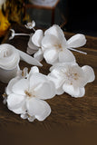 White Elegant Fabric Flower Hair Clips