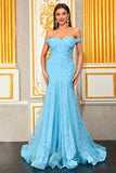 Light Blue Appliques A Line Off the Shoulder Floral Tulle Long Formal Dress