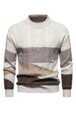 Men's White Round Neck Colorblock Cable Pullover Sweater