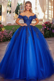 Sparkly Royal Blue Ball Gown Off the Shoulder Quinceanera Dress with Lace Appliques