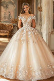 Champagne Ball Gown Off The Shoulder Appliqued Tulle Quinceanera Dress