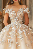 Champagne Ball Gown Off The Shoulder Appliqued Tulle Quinceanera Dress