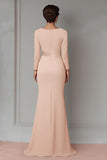 Blush Lace Sheath Mother Of The Bride Dress with Long Sleeves