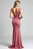 Desert Rose Sheath V-Neck Pleating Long Mother of the Bride Dress