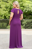 Purple Sheath Chiffon Plus Size Mother of the Bride Dress with Short Sleeves