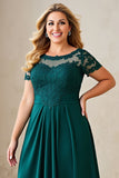 Pine A Line Chiffon Short Sleeves Plus Size Mother of the Bride Dress with Lace