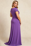 Purple Sheath V-Neck Chiffon Short Sleeves Long Plus Size Mother of the Bride Dress