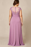 Dusty Rose A Line Chiffon Lace Plus Size Long Mother of the Bride Dress
