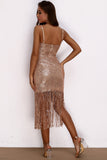 Burgundy Sparkly Sequins Short Homecoming Dress with Fringes