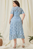 Sky Blue Lace Plus Size Midi Mother of the Bride Dress with Short Sleeves