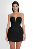 Bodycon Satin Strapless Tube Top  Little Black Dress