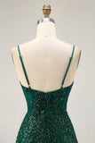 Sparkly Bodycon Dark Green Sequins Corset Homecoming Dress