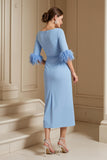 Light Blue Stretch Satin Bateau Neck Sheath Long Wedding Guest Dress with Feather