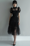 Black High Neck A Line Tulle Cocktail Dress