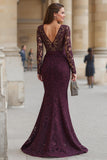 Cabernet Mermaid V-Neck Lace Applique Mother of the Bride Dress