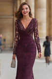 Cabernet Mermaid V-Neck Lace Applique Mother of the Bride Dress