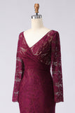 Cabernet Mermaid V-Neck Lace Applique Mother of the Bride Dress