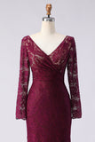 Cabernet Lace Appliqued Mermaid V-Neck Long Mother of the Bride Dress