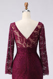 Cabernet Mermaid V-Neck Lace Applique Mother of the Bride Dress