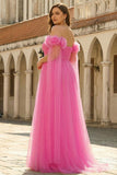 Hot Pink Off the Shoulder A Line Pleated Tulle Long Plus Size Prom Dress with Streamer