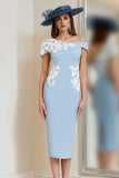 One Shoulder Light Blue Appliqued Sheath Mother Of The Bride Dress