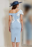 One Shoulder Light Blue Appliqued Sheath Mother Of The Bride Dress