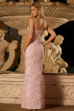 Blush Pink Spaghetti Straps Sheath Corset Long Plus Size Prom Dress with Appliques