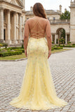 Sparkly Black Mermaid Corset Long Plus Size Prom Dress with Lace Up Back