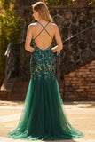 Sparkly Dark Green Sheath Open Back Long Prom Dress with Sequins