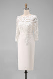Light Blue Bateau Neck Bodycon Appliqued Midi Mother of the Bride Dress with 3/4 Sleeves