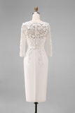Light Blue Bateau Neck Bodycon Appliqued Midi Mother of the Bride Dress with 3/4 Sleeves