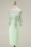 Light Blue Bateau Neck Bodycon Appliqued Midi Mother of the Bride Dress with 3/4 Sleeves