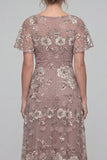 Dusty Rose Sequins A Line V Neck Long Mother of the Bride Dress