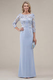 Blush Velvet Sheath Bateau Neck Appliqued Long Mother Of the Bride Dress with 3D Flowers