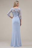 Blush Velvet Sheath Bateau Neck Appliqued Long Mother Of the Bride Dress with 3D Flowers